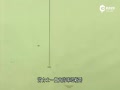 ʿָ֧߶˶ʮ