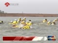ʱա 2013Ǩ̬