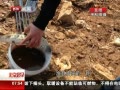 硷 ˮڻ дðץ