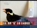 йš ձӸ˵ ӵ绰