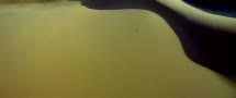 Ƶ¼Ƭֻء