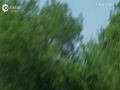 Ƶ-ķ˹˻ʯ ˵Ϲ뱣