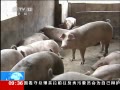 ֱ䡷  ɢȥ