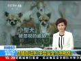 ֱ䡷 ʾⶺ ѧᰲȫ빷ദ