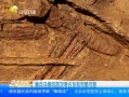 ӵһʱ 20140228 رٸ״οŷ