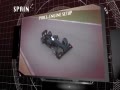 Ƶ-F1վǰհ ̥Ͼ