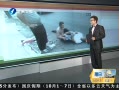 簲 С￪Ϻ
