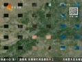 񳯡 ԭ־ֳ鸾
