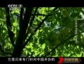ս䡷 ɫعص 