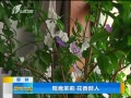 籨 ԧ