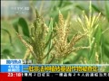 24Сʱ һǷֲתﱻ鴦