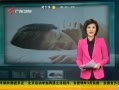 㶫糿 ˯