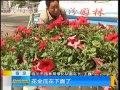 籨 ͻ豻Ʒԭº