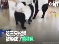 ˸ʨȮȾɫè Ҫշ