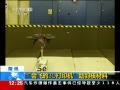 30֡ ɵ3Dӡ˲