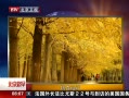 硷 Ӳ