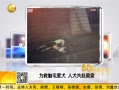 һʱ 20130710 Ϊȴ簮Ȯ ȮȪ