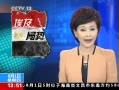 ֱ䡷 ֻ᣺޴ľ