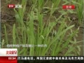 硷 г²Ƿũ ȥЧ