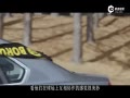 Ƶ-ʮԱһԵĵ¹ʥ