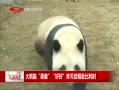 ˵¡ èǻպú̸ʱ