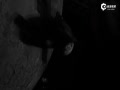 Ƶ˹и-ֶֿMV