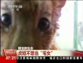 ¡ 椲뵱լŮ