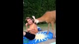 Deer Loves Boy