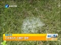簲 Ϸעʪ