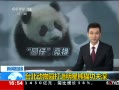 ֱ䡷 ̨԰è