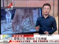ӽ硷 Сţ Ȼ