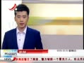 ӽ硷 ʽӲо