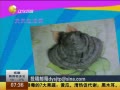 һʱ 20140402 