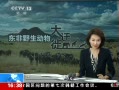 ֱ䡷 ҰǨ רϹ鳤ʩ̩