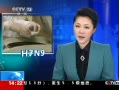 ֱ䡷 һ½ο͸̨ڼȷȾH7N9
