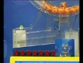 6522ѡ5Ƶ