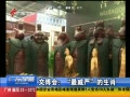 㶫糿 Ĳ᣺ϵФ