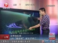 Ƶ:糵 120Ƥ