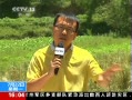 ֱ䡷 ʡؽ6.6