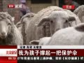 硷 Ϊӳһѱɡ