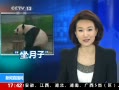 ֱ䡷 ̨ ½̨èԲԲ