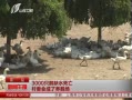 籨 3000ֻȱˮί쳡