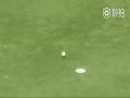 Ƶ-˹Ƥ˼ץΣ PGA+1