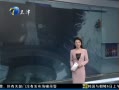š Сڹ˻