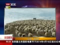 硷 ת