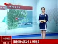 ӵ㡷 ν񳿷4.8