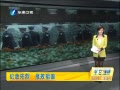 簲 Դɨʿ԰ 廳