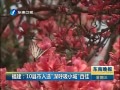  10ѡСǰټ