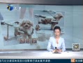 12㱨 ε ϲ־ж