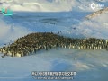 BBC¼Ƭѹ:챦ֻ֮